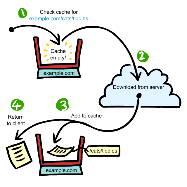 1. Check cache for http://example.com/cats/tiddles - Cache empty 2. Download from server 3. Add to cache 4. Return to client